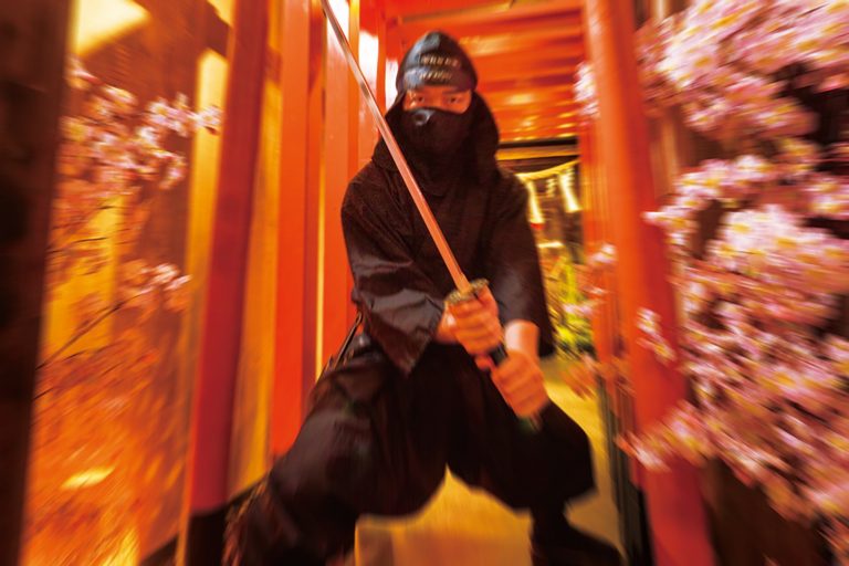 What is a Ninja? | QAZ JAPAN